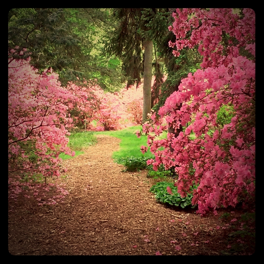 Meet your Posher, Susan